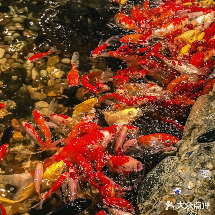 哈尔滨这家四层还爆满🔥的火锅店真是馋肉好去处