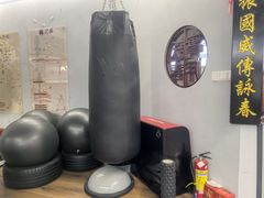 -温鉴良实用咏春拳