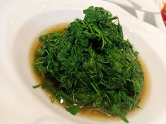 -新雅粤菜馆(南京东路店)