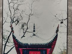 -十九号公馆露台酒店(长沙五一广场店)