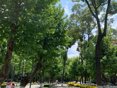 -四川大学(望江校区)