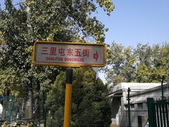 -三里屯东五街银杏大道