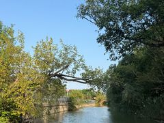 -上海长兴岛郊野公园