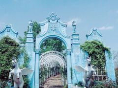 -大塘金香草谷