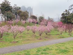 -堤角公园