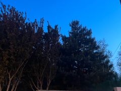 -南长河公园
