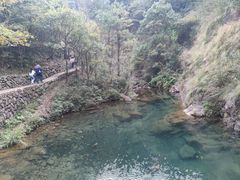 -大奇山国家森林公园