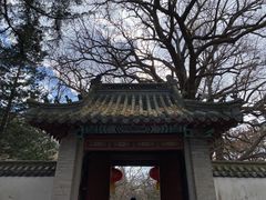 -青岛崂山太清宫