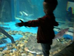 -多彩贵州城极地海洋世界