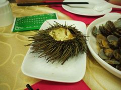 海胆蒸蛋-海岛渔村大酒店(云霄路店)