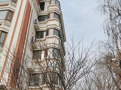 -金太狼4k国际影城