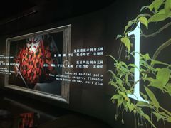 -地球美食剧场