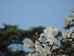 -塔子山公园