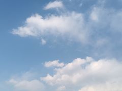 -海河外滩公园