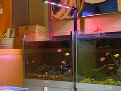 -咕嘟草帽鱼·牛奶一样的鲜鱼汤(包河万达广场创始店)