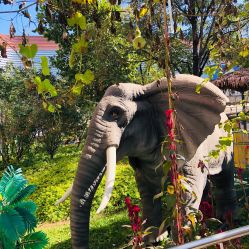 -萌宠亲子动物乐园(槐房万达店)