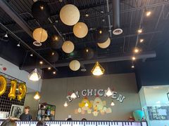 -DM CHICKEN 分米鸡