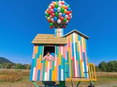 -苏州太湖西山岛开心农场