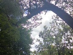 -黑龙潭公园