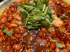 -陈麻婆豆腐总店