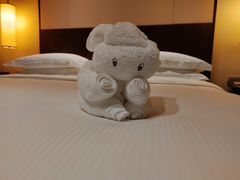 -三亚亚龙湾希尔顿酒店