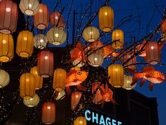 -龙湖星悦荟(颐和店)