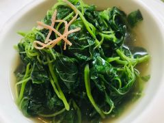 -花园5號餐厅