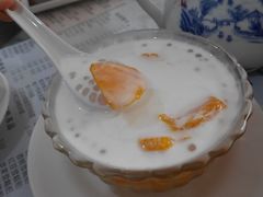 -俊丽双皮奶甜品店