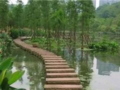-重庆彩云湖湿地公园