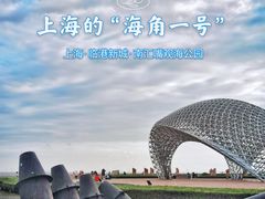 -南汇嘴观海公园