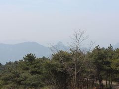 -鲁山国家森林公园