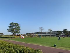 -迪茵湖田家舍生态农场