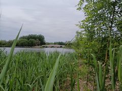 -大兴滨河森林公园