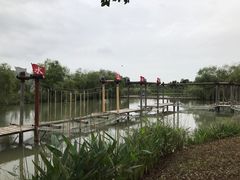 景点-长兴太湖图影湿地文化园