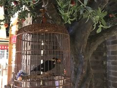 -局气 烤鸭·北京菜(光华路店)