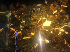 -RED LOBSTER(中城西店)