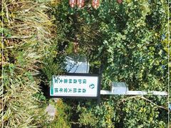 -广州白江湖森林公园