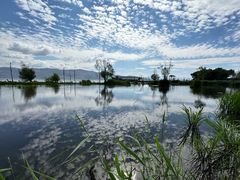 -才村湿地公园