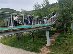 -青藏高原野生动物园
