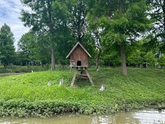 -宁波杭州湾国家湿地公园