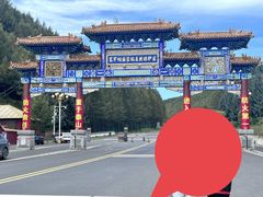 -塞罕坝国家级自然保护区