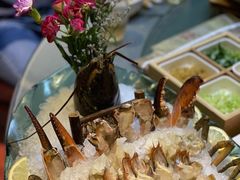 波龙虾汤锅-金龙·打边炉(南京西路店)