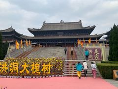 -大槐树寻根祭祖园