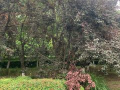 -长广溪湿地公园