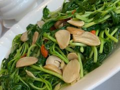 上汤西洋菜-新兴家喻酒家·羊城名宴(昌岗店)