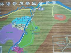 -汤旺河林海奇石景区