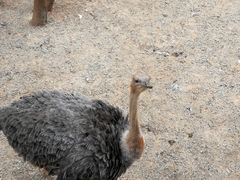 -昆明动物园