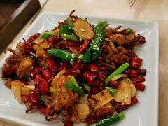 辣炒八爪鱼-福云龙(黄河南大街店)