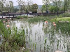 -上方山森林动物世界