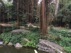 -新加坡飞禽公园